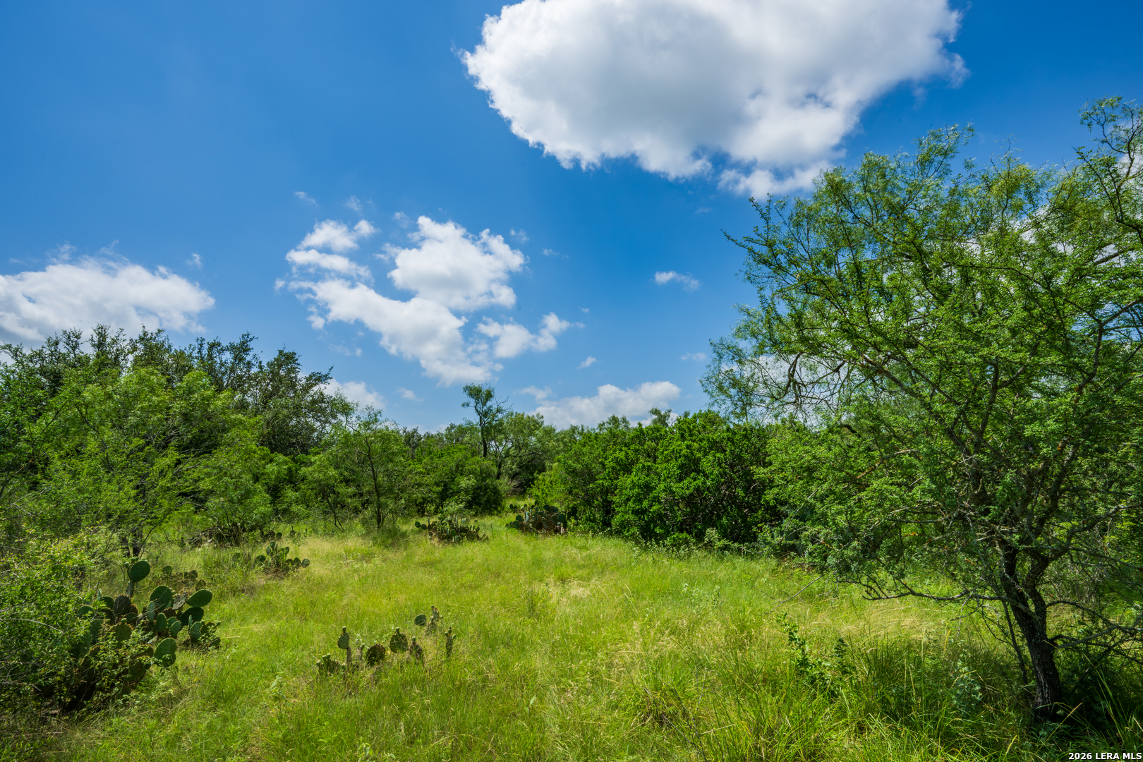 000 Miller Road Uvalde TX 78801