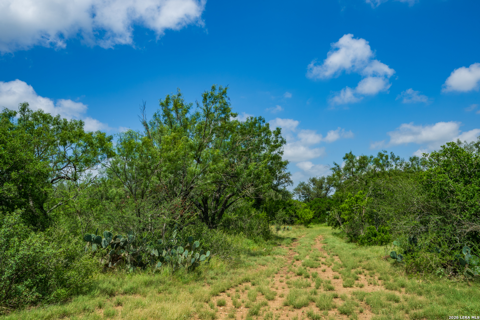 000 Miller Road Uvalde TX 78801