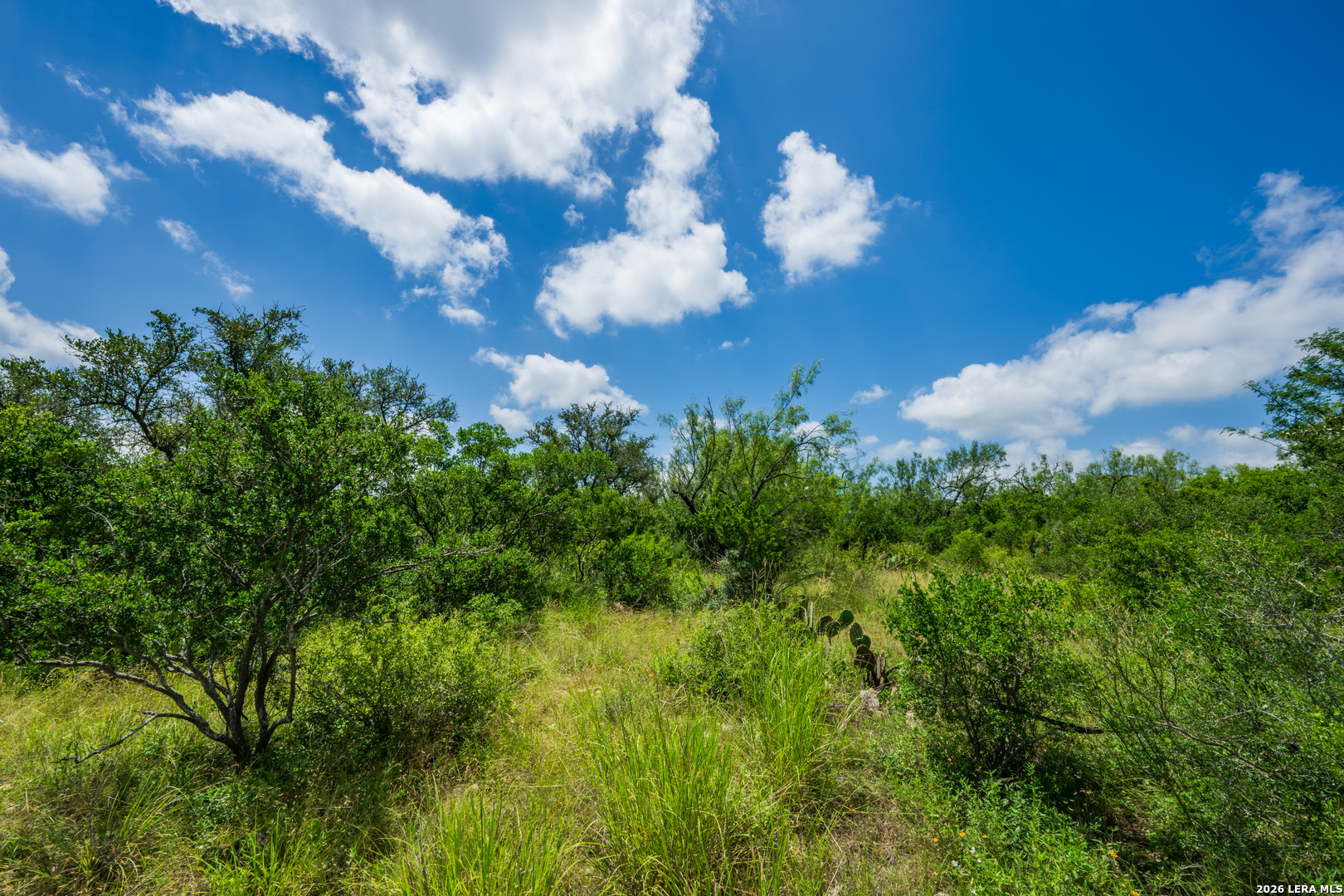 000 Miller Road Uvalde TX 78801