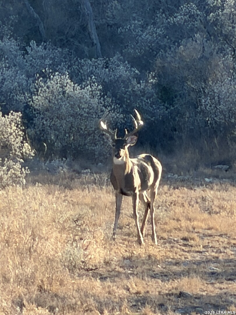 000 Miller Road Uvalde TX 78801