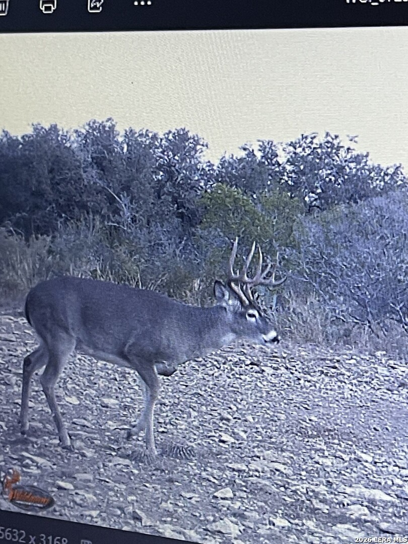 000 Miller Road Uvalde TX 78801