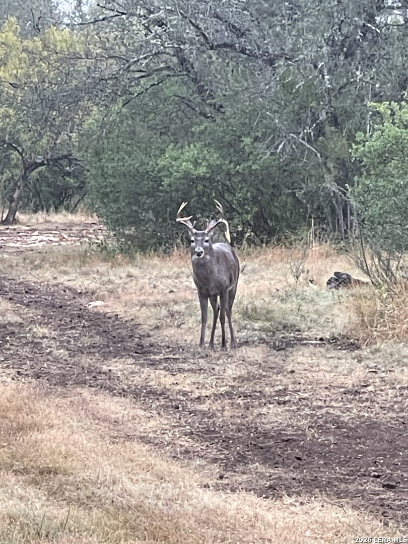 000 Miller Road Uvalde TX 78801
