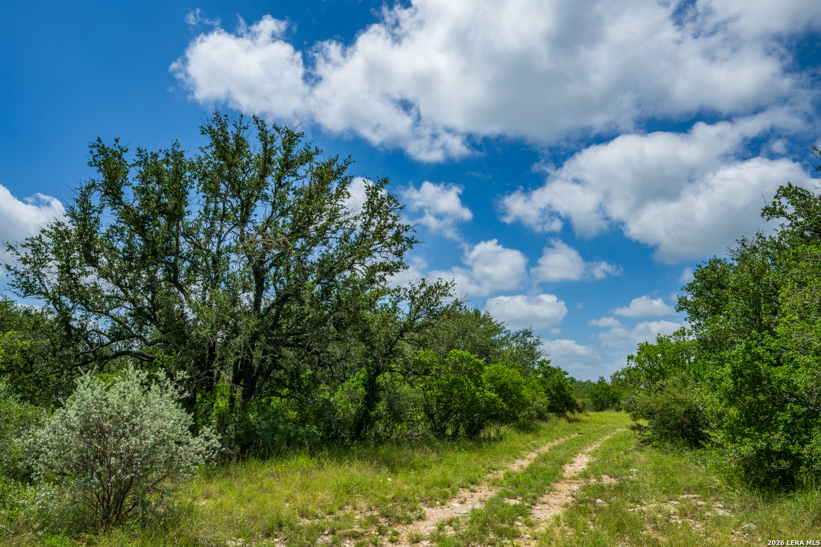 000 Miller Road Uvalde TX 78801