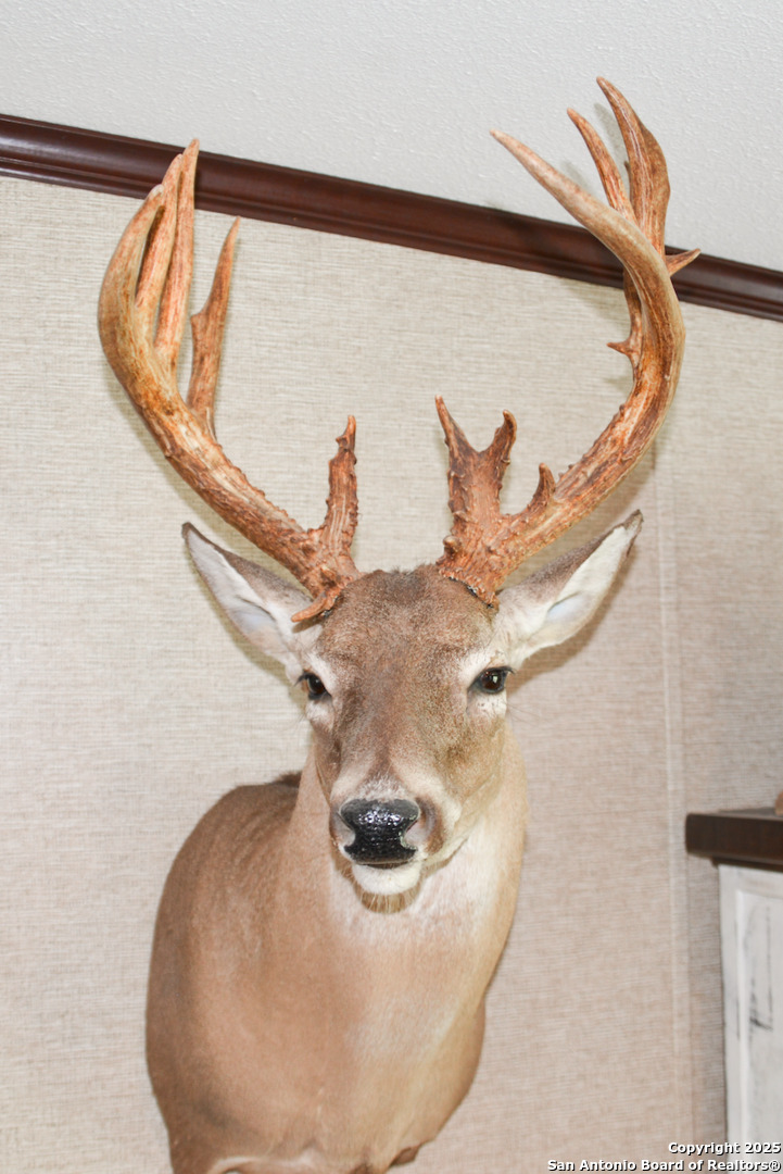 00 Tbd Freer TX 78357