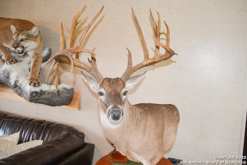 00 Tbd Freer TX 78357