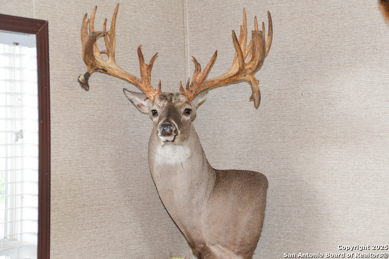 00 Tbd Freer TX 78357