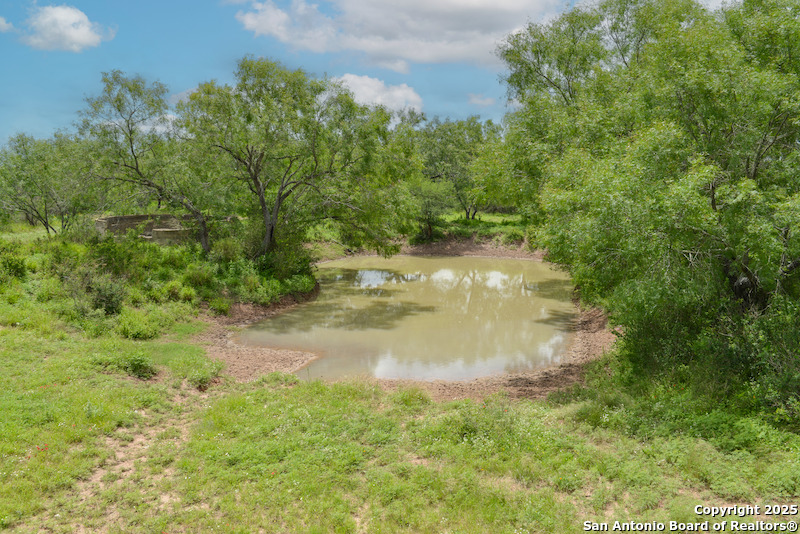 00 Tbd Freer TX 78357