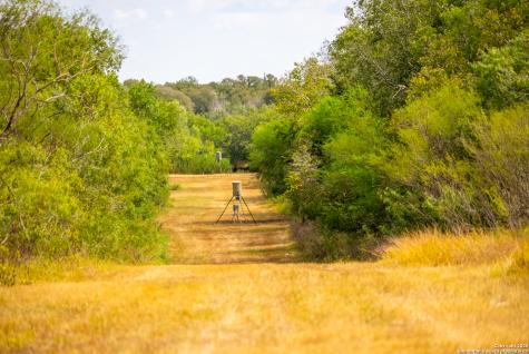 000 County Road 332 Runge TX 78151