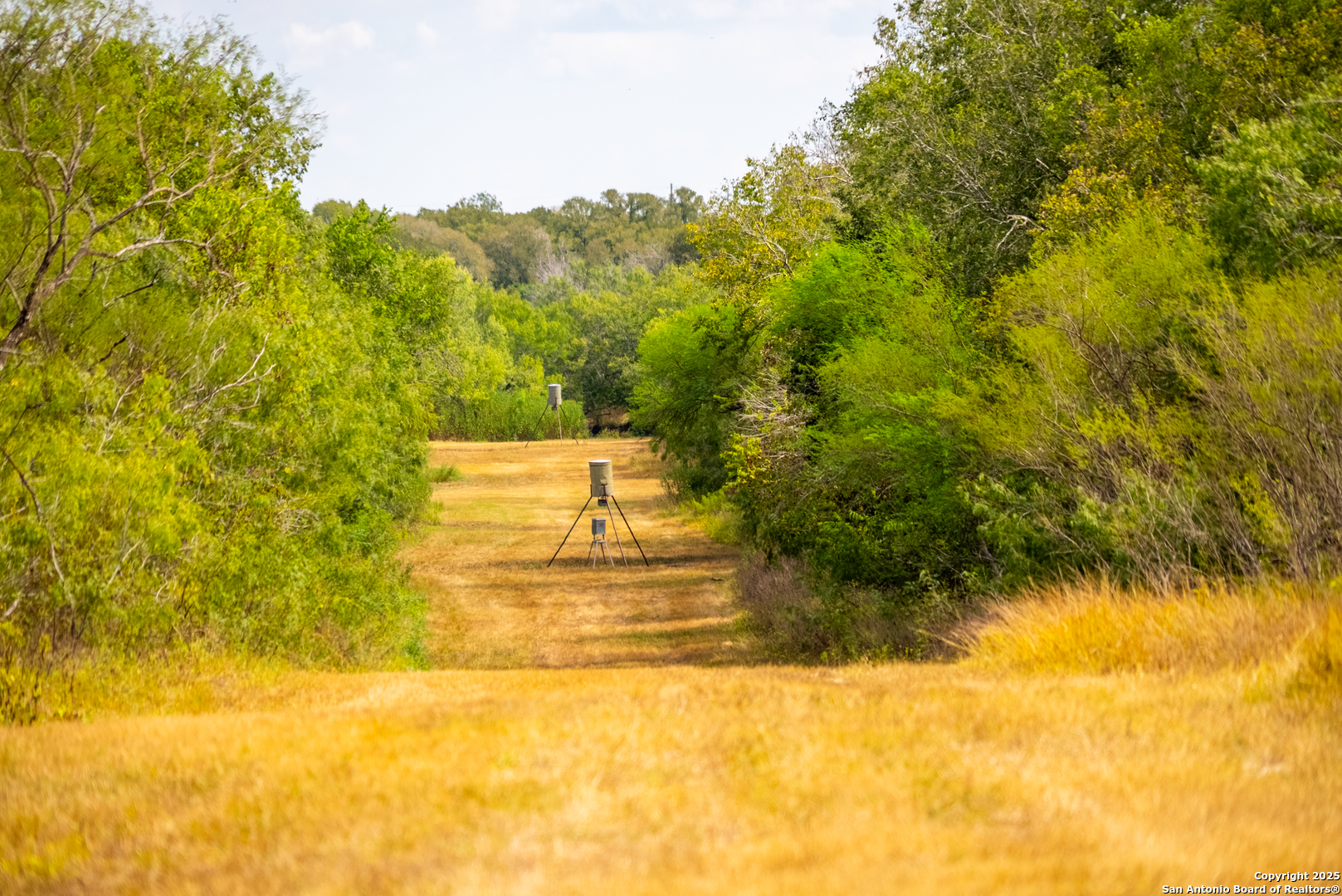 000 County Road 332 Runge TX 78151