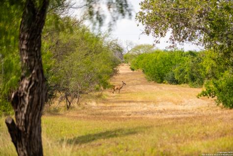 000 County Road 332 Runge TX 78151