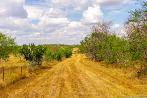 000 County Road 332 Runge TX 78151