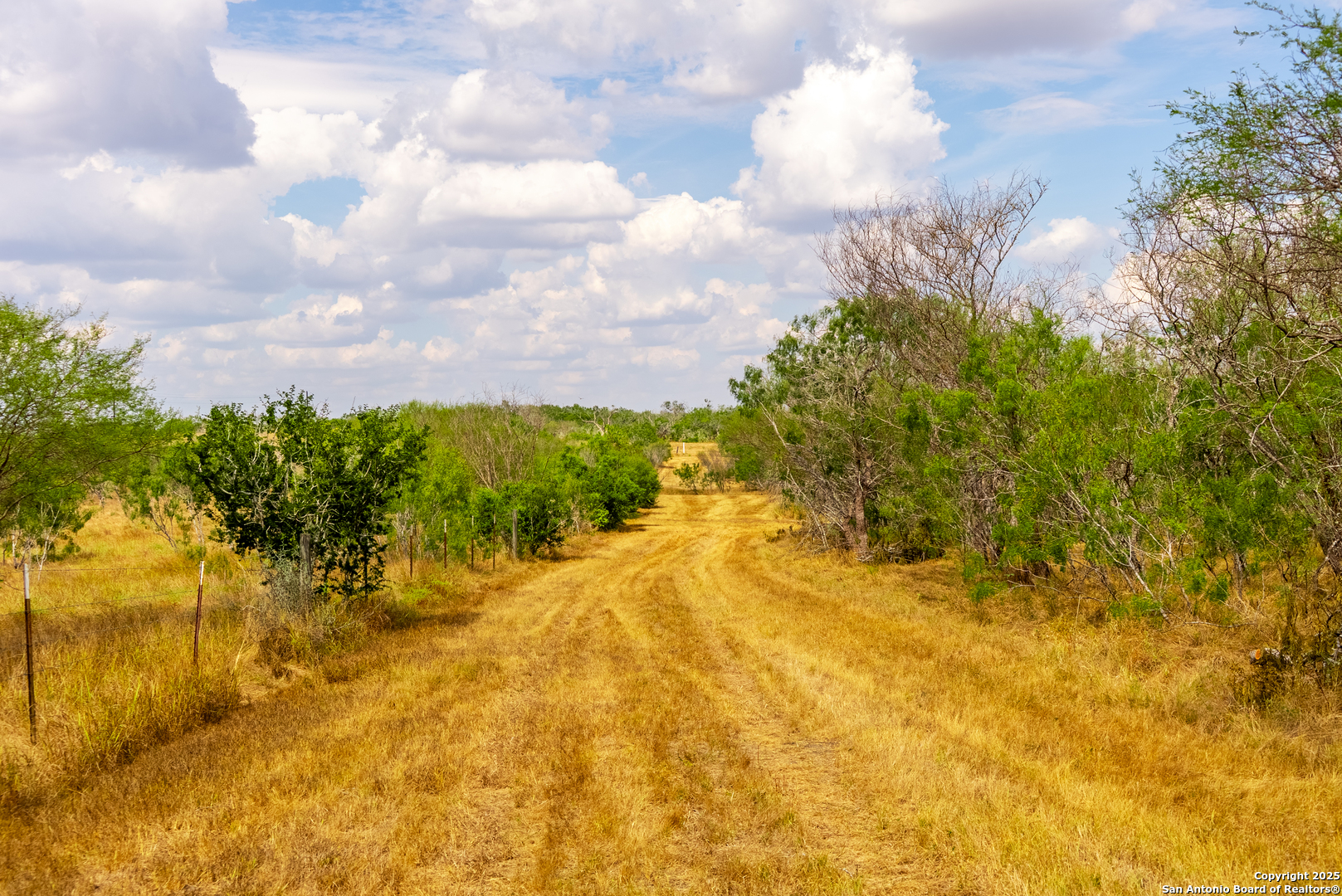 000 County Road 332 Runge TX 78151