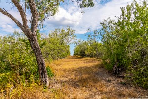 000 County Road 332 Runge TX 78151