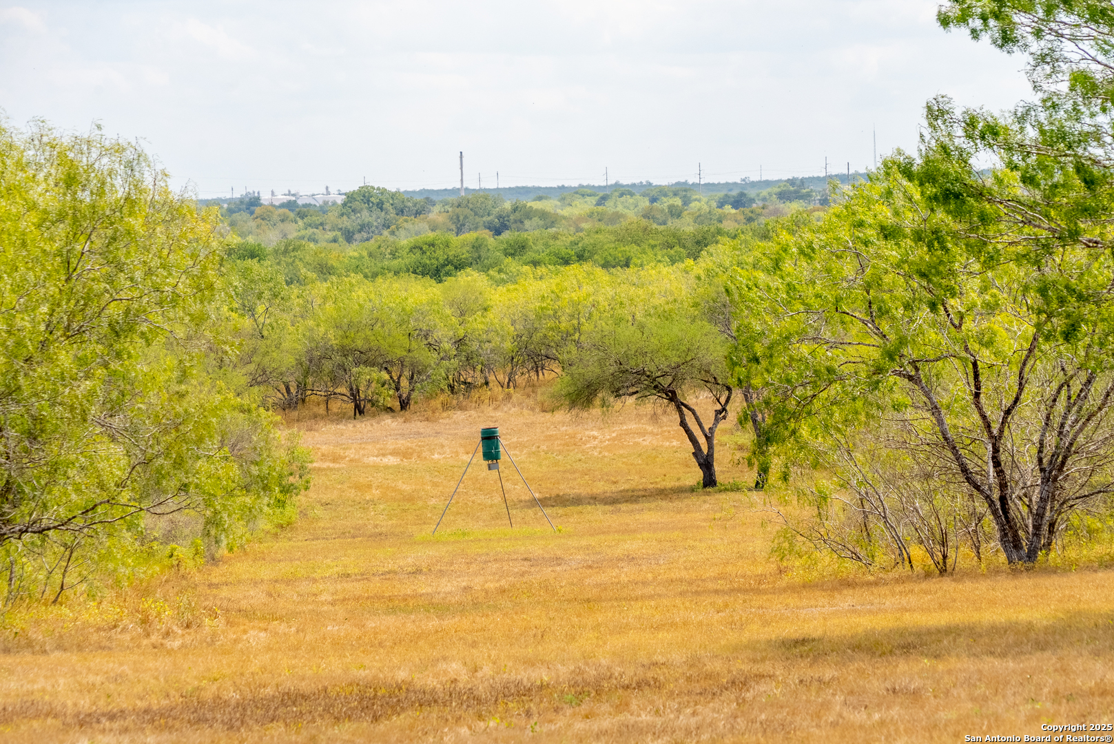 000 County Road 332 Runge TX 78151