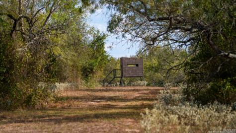 916 County Road 421 Waelder TX 78959