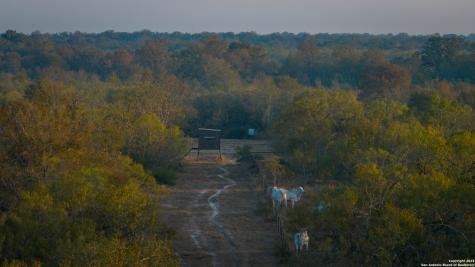 916 County Road 421 Waelder TX 78959