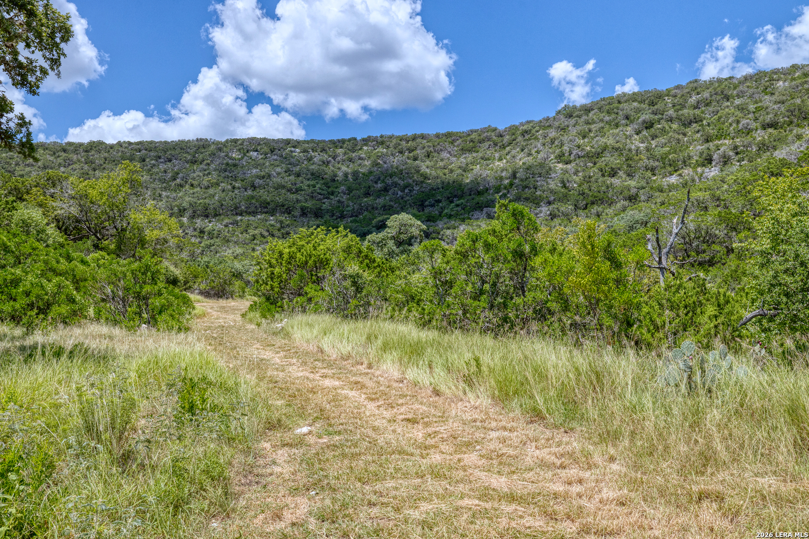 2242 Patterson Creek Road Leakey TX 78873