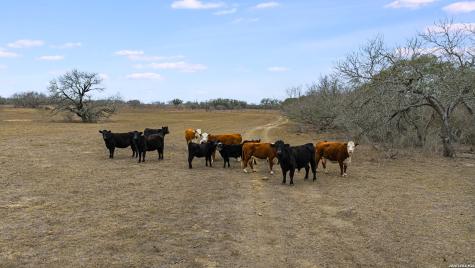 000 County Road 454 Stockdale TX 78160