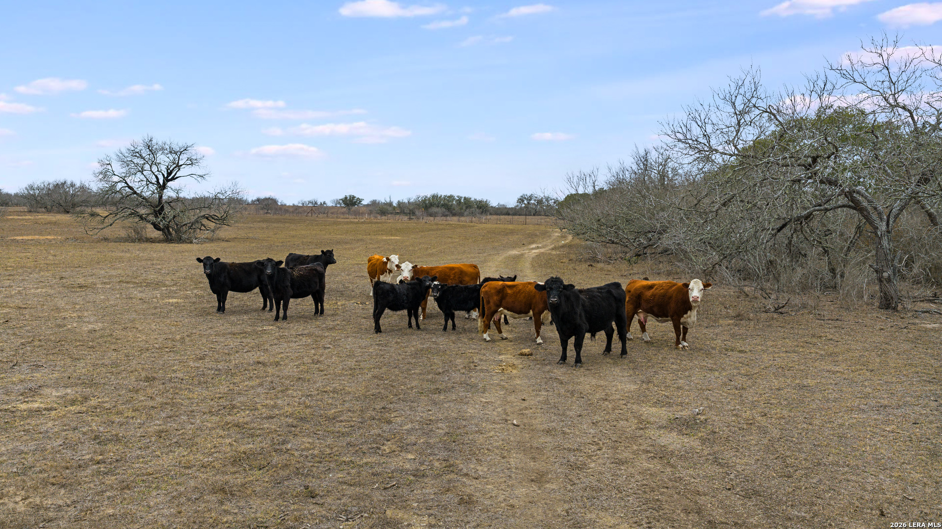 000 County Road 454 Stockdale TX 78160
