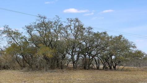 000 County Road 454 Stockdale TX 78160