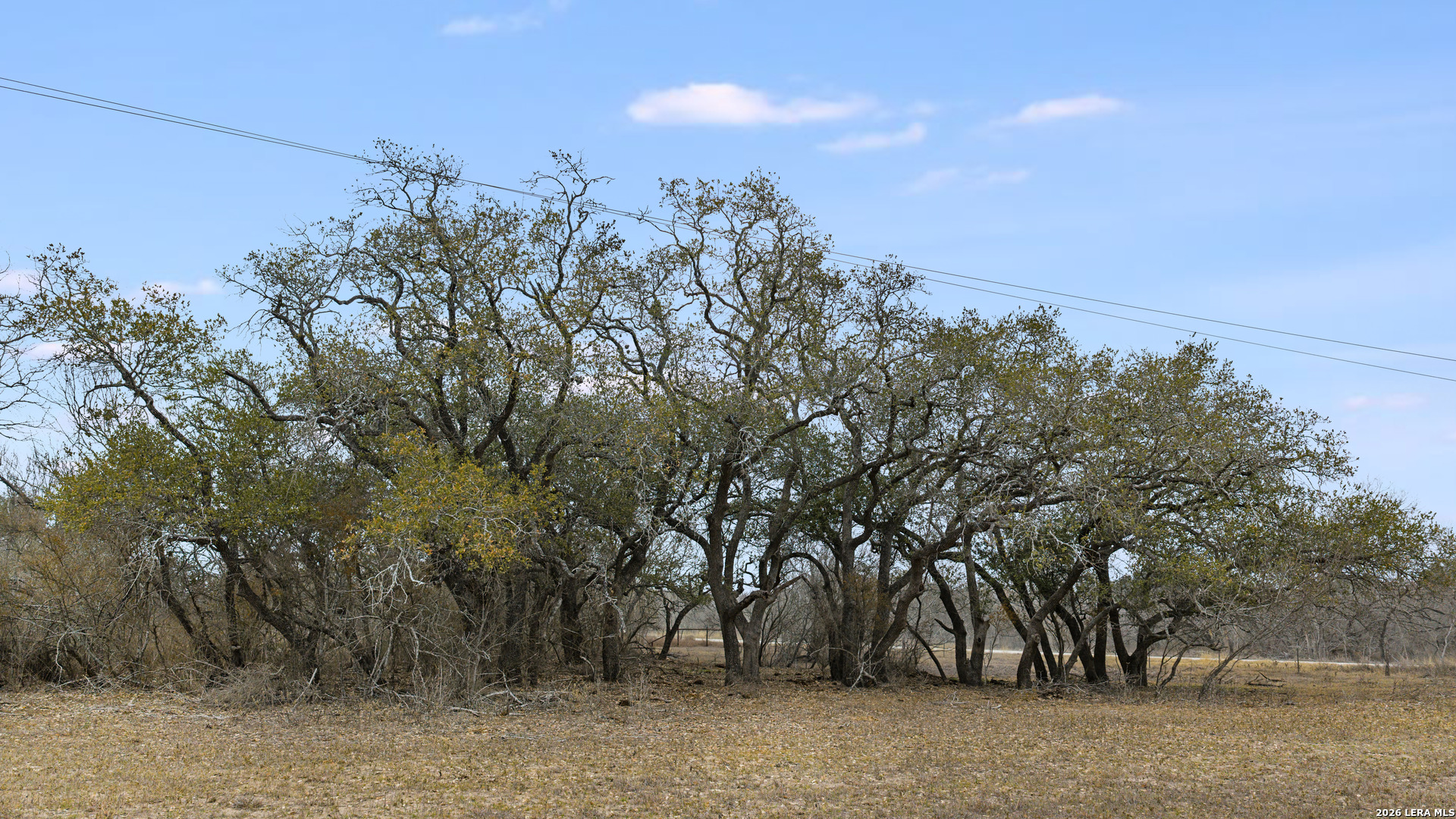000 County Road 454 Stockdale TX 78160