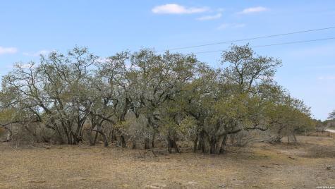 000 County Road 454 Stockdale TX 78160