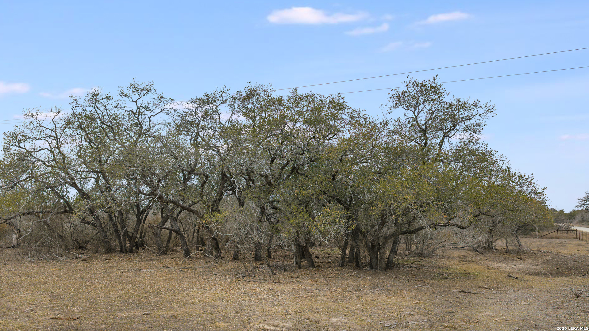 000 County Road 454 Stockdale TX 78160
