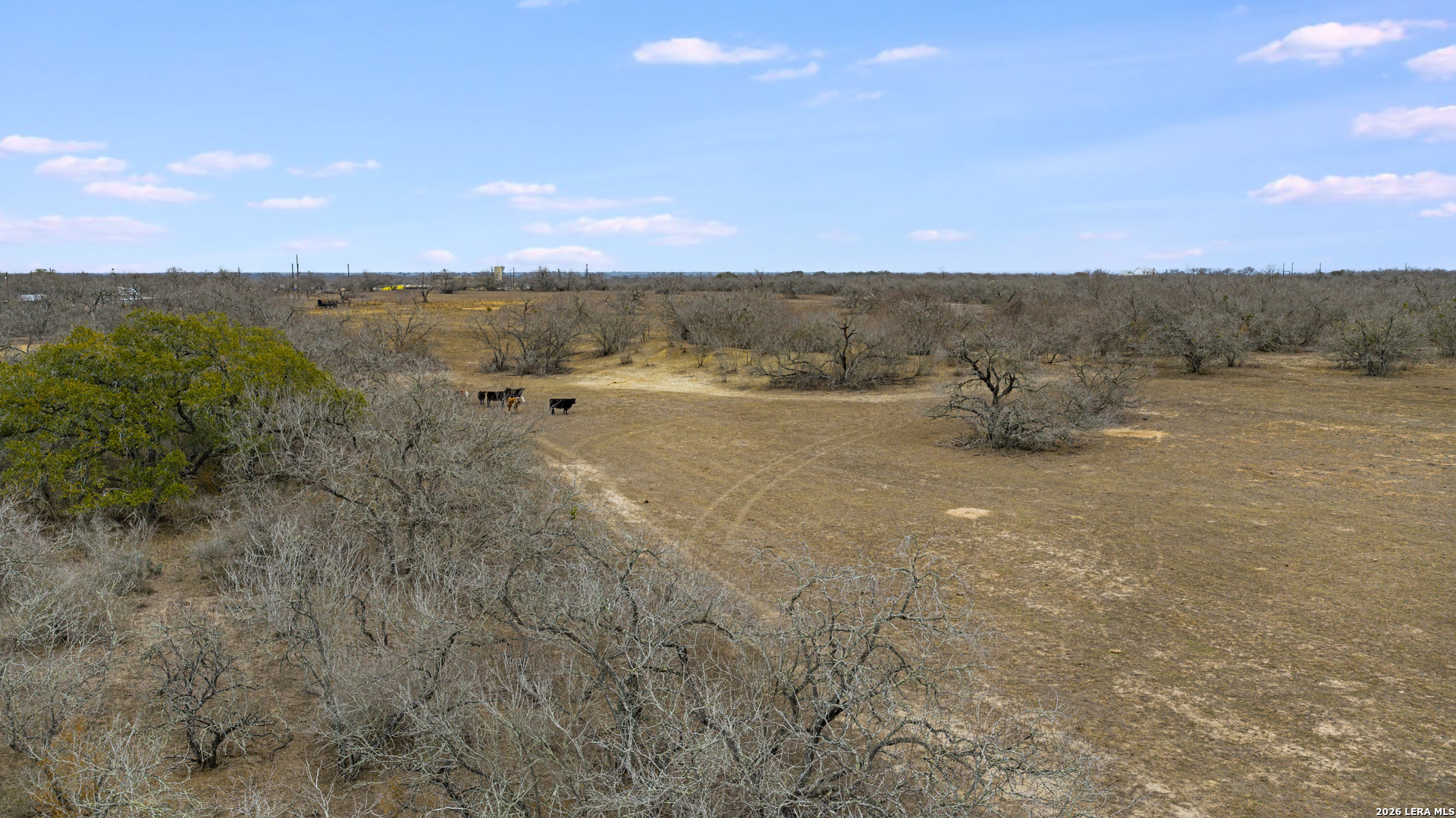 000 County Road 454 Stockdale TX 78160
