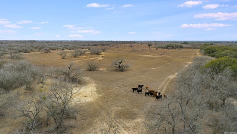 000 County Road 454 Stockdale TX 78160