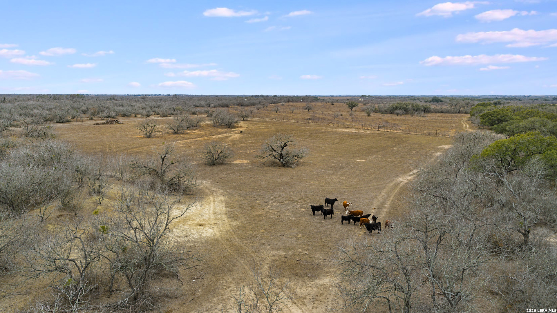 000 County Road 454 Stockdale TX 78160