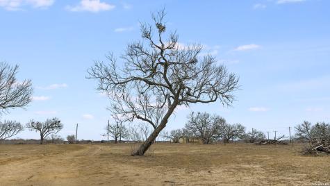 000 County Road 454 Stockdale TX 78160