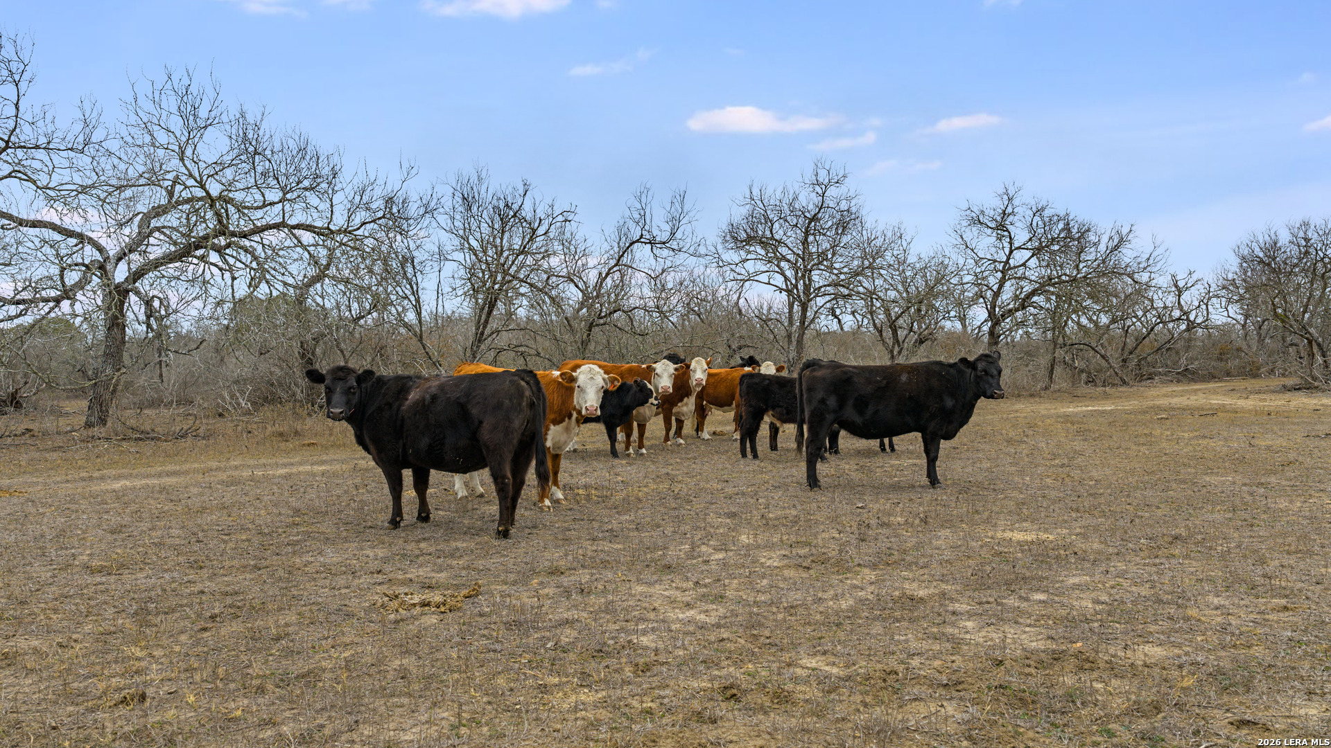 000 County Road 454 Stockdale TX 78160