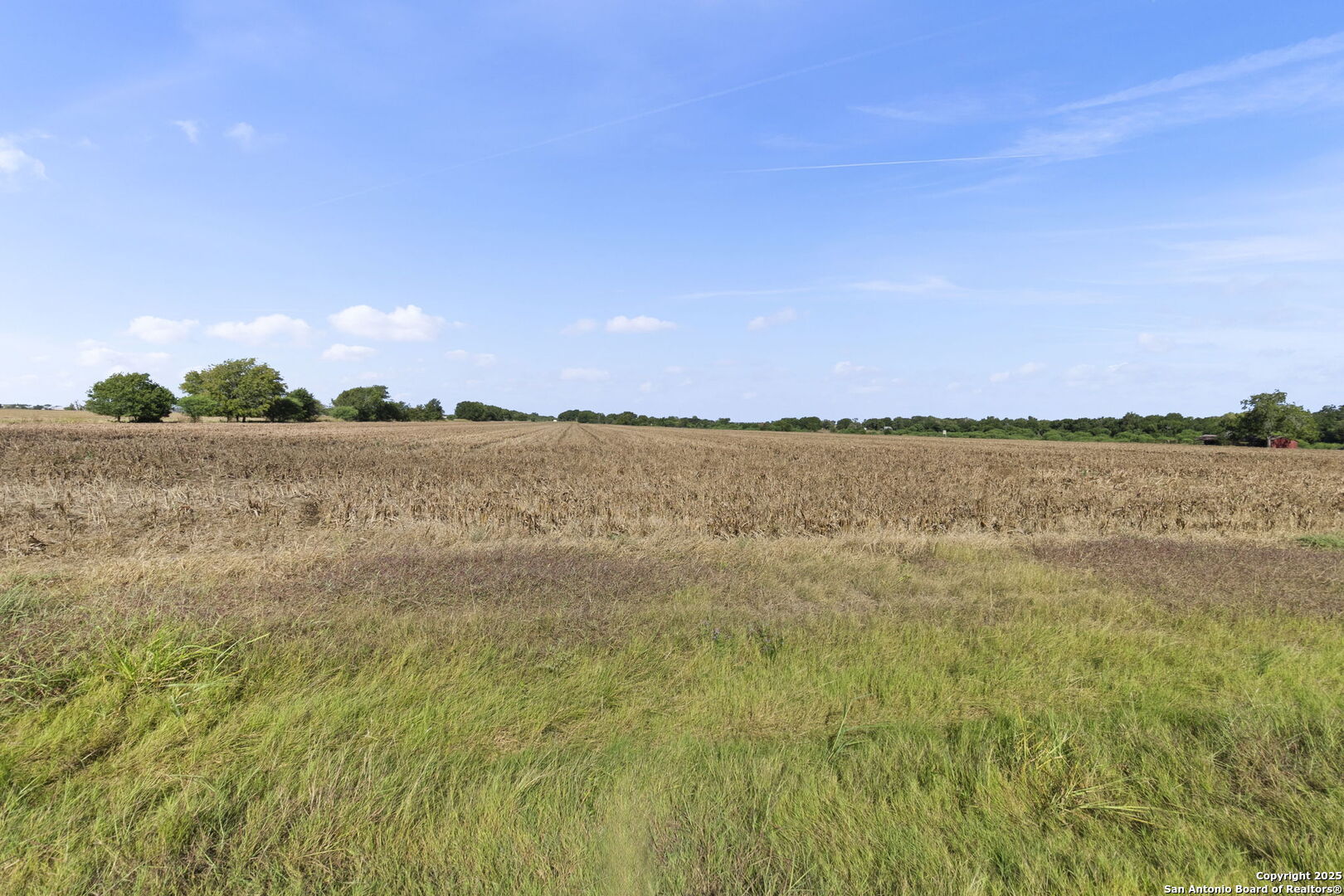 4410 Ploetz Seguin TX 78155