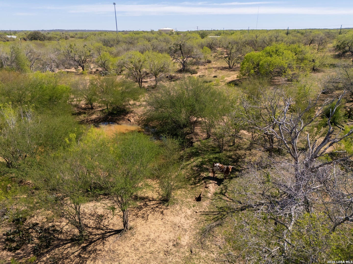 1283 S Loop 1604 W San Antonio TX 78264