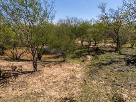 1283 S Loop 1604 W San Antonio TX 78264