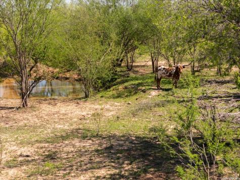 1283 S Loop 1604 W San Antonio TX 78264