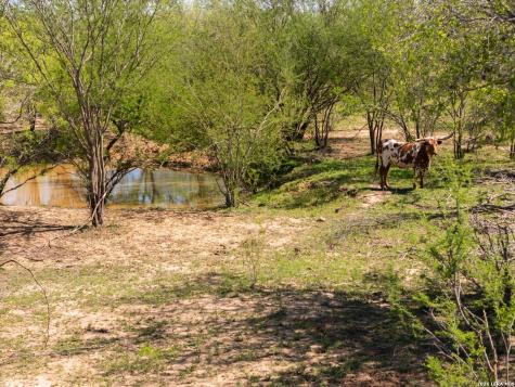 1283 S Loop 1604 W San Antonio TX 78264