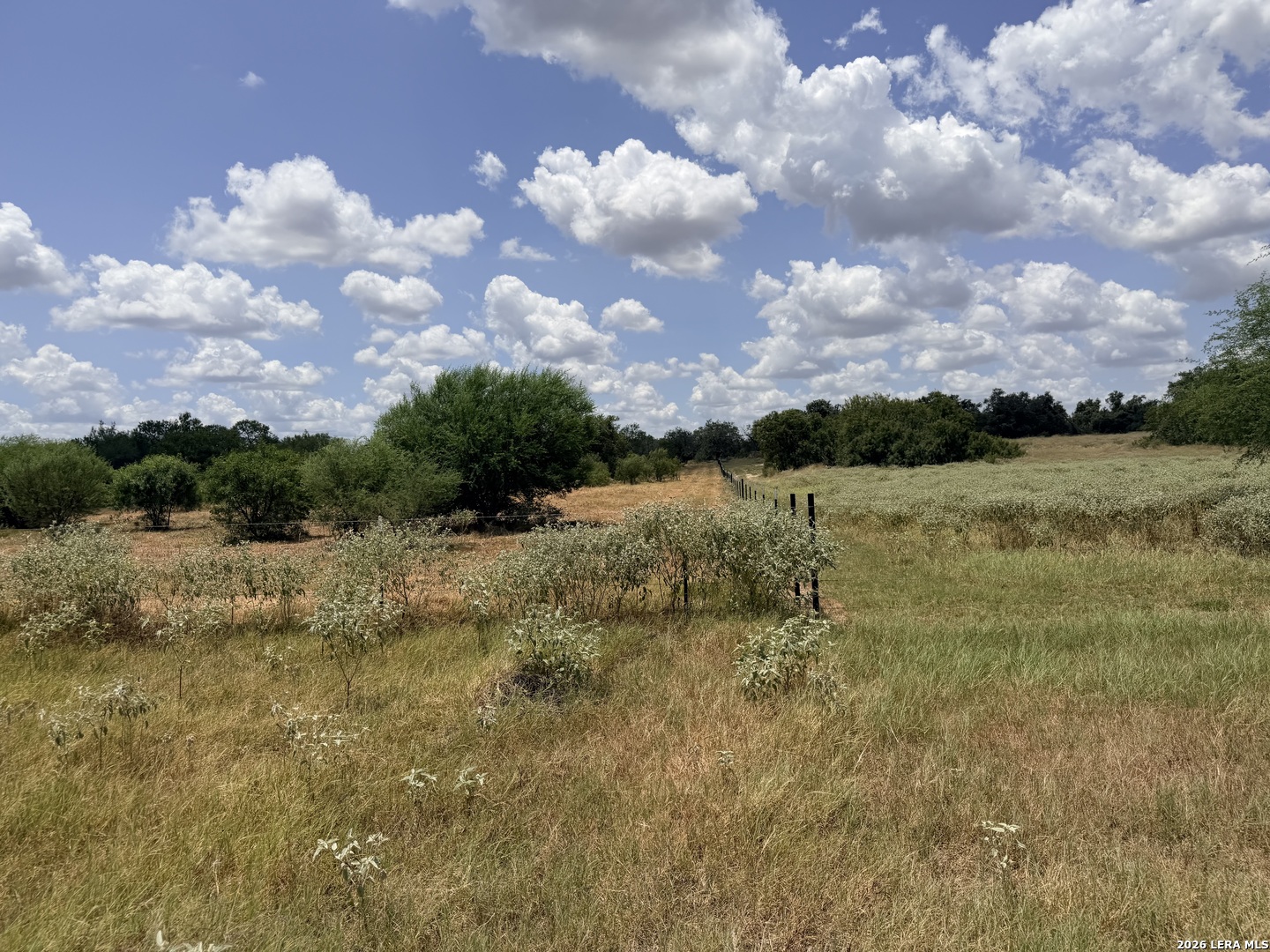 118 Pr Dax Lane Pleasanton TX 78064