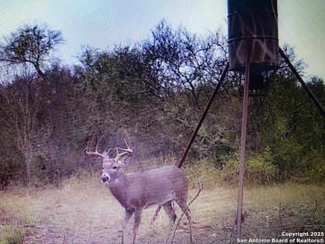 1400 Fm 1343 Castroville TX 78009