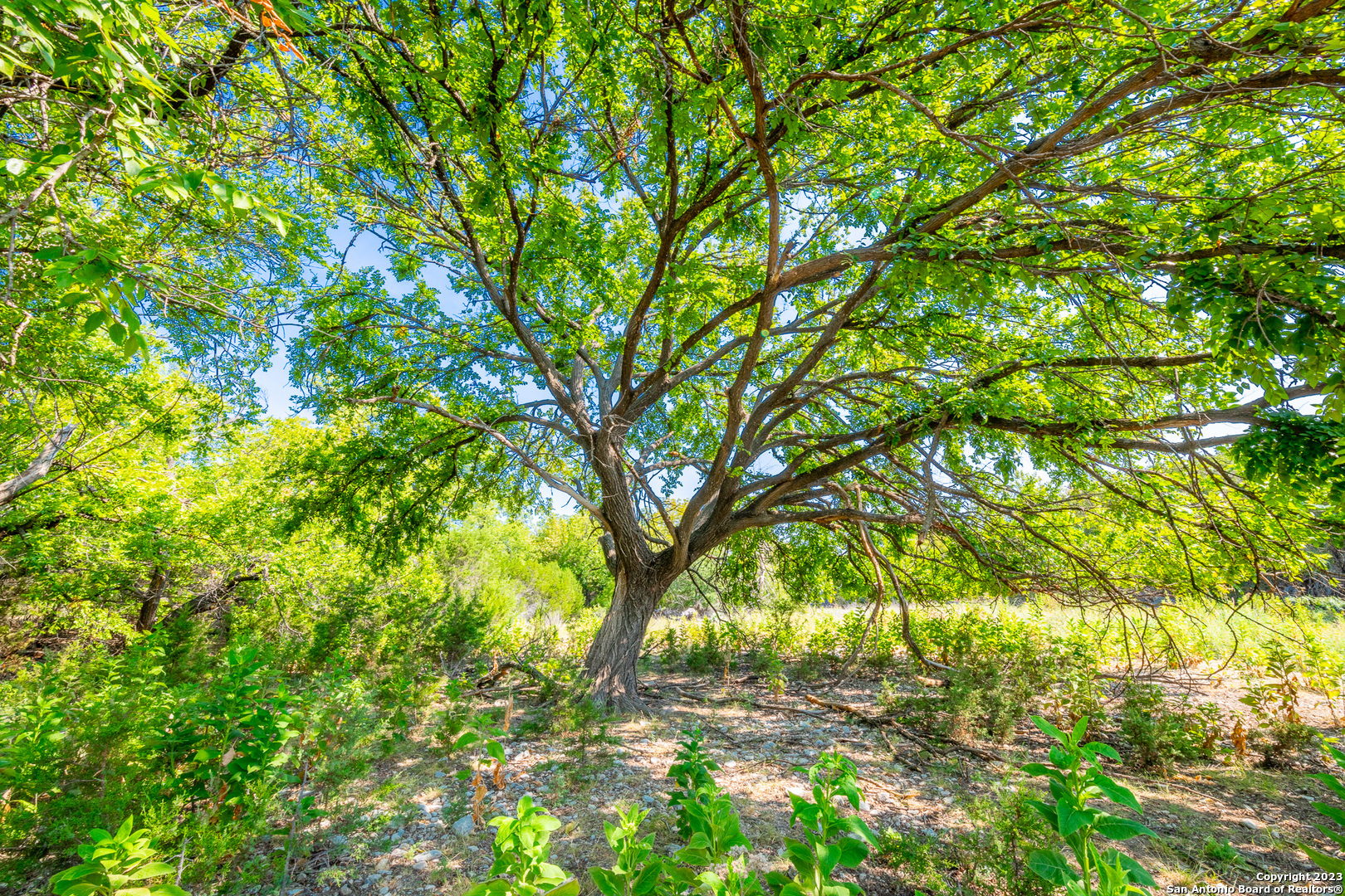 491 Kc 276 Junction TX 76849