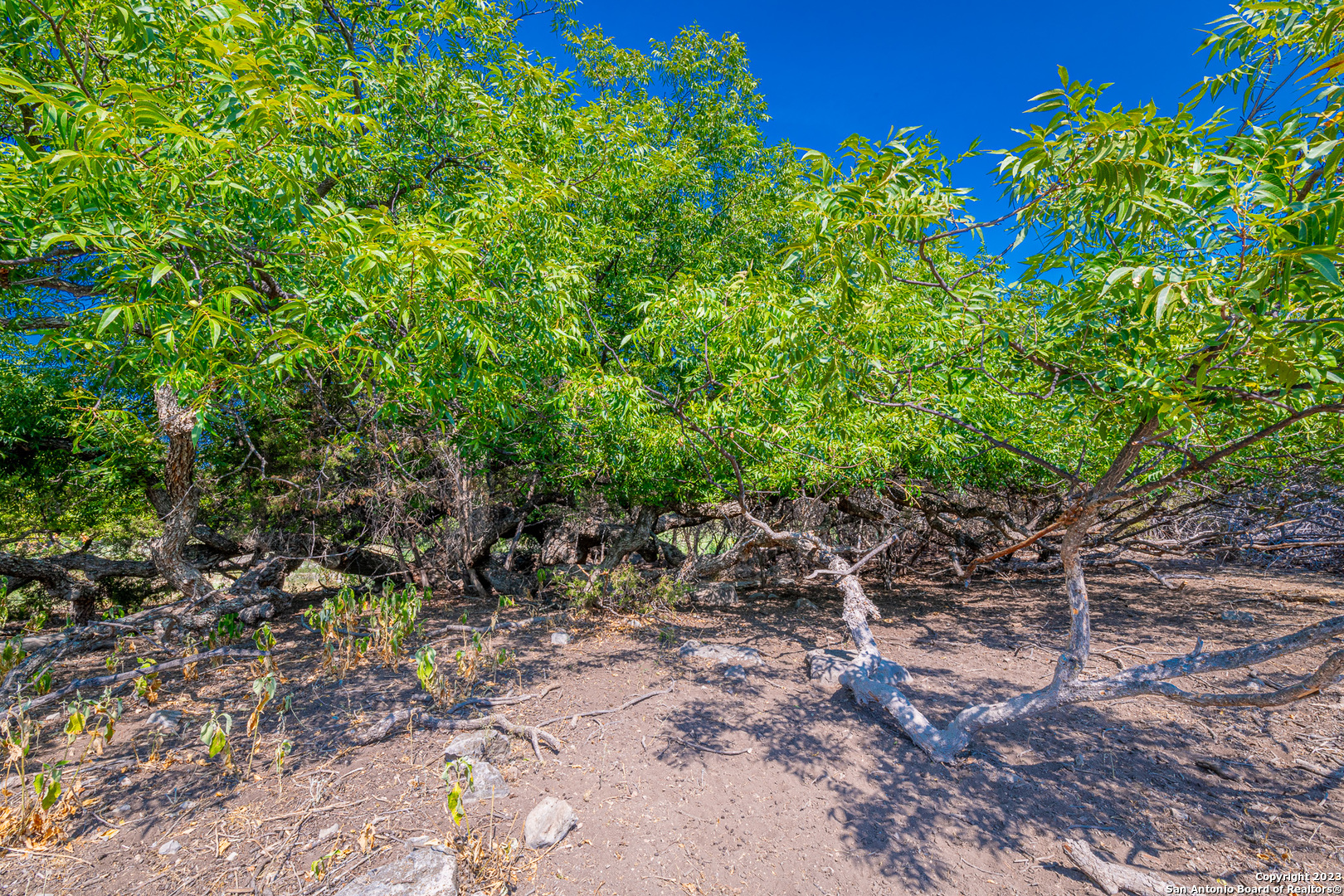 491 Kc 276 Junction TX 76849