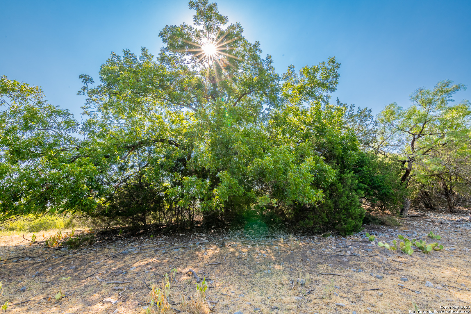 491 Kc 276 Junction TX 76849