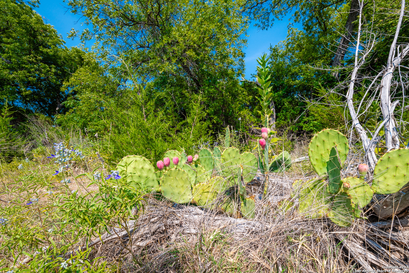 491 Kc 276 Junction TX 76849