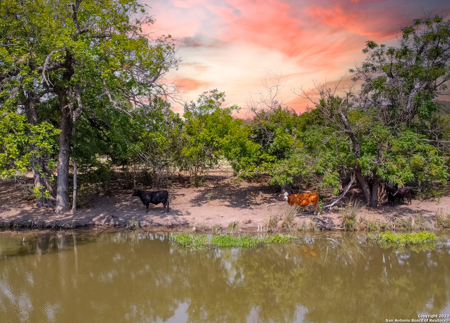 491 Kc 276 Junction TX 76849