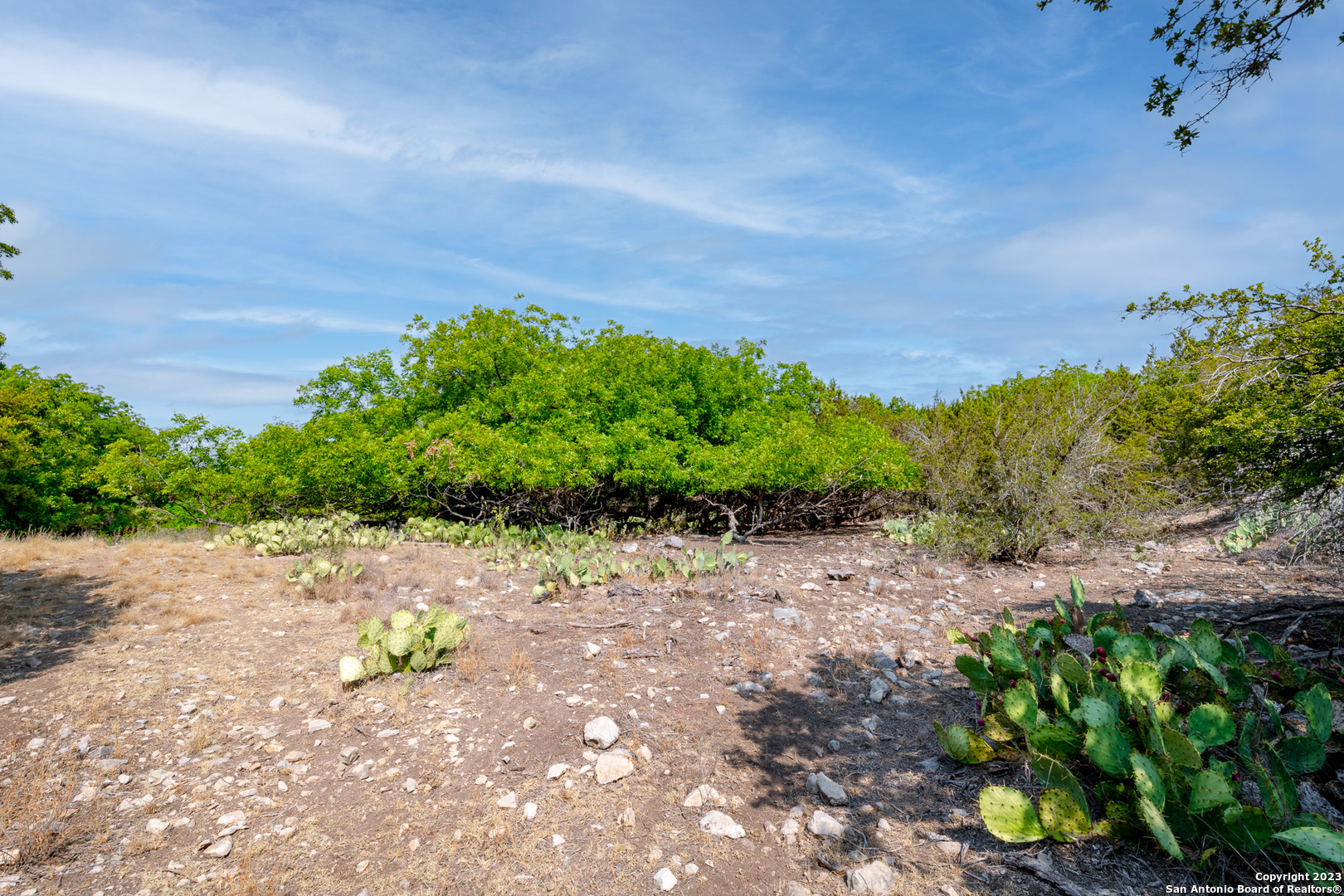 491 Kc 276 Junction TX 76849