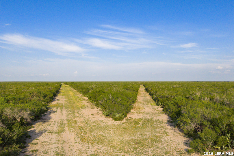 Tbd Cr 401 Freer TX 78357