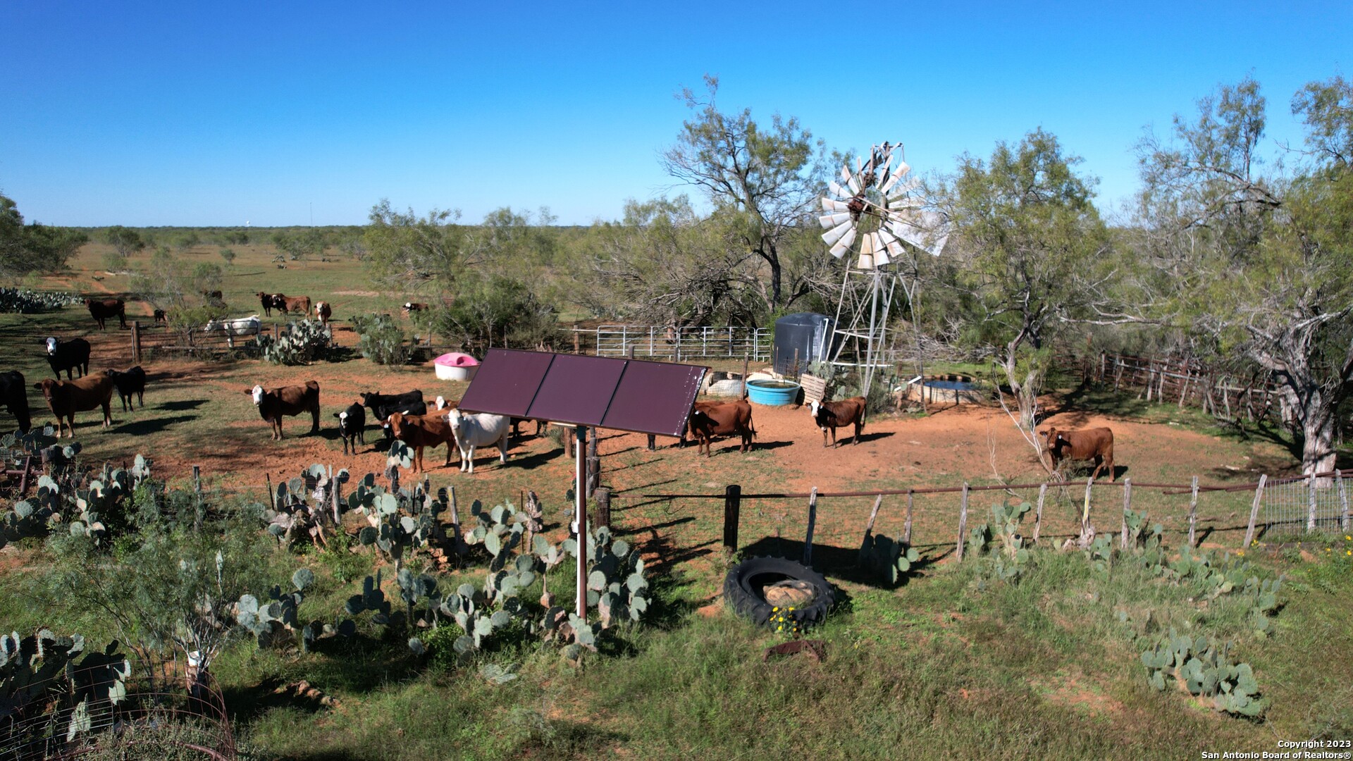 1913 County Road 3000 Pearsall TX 78061