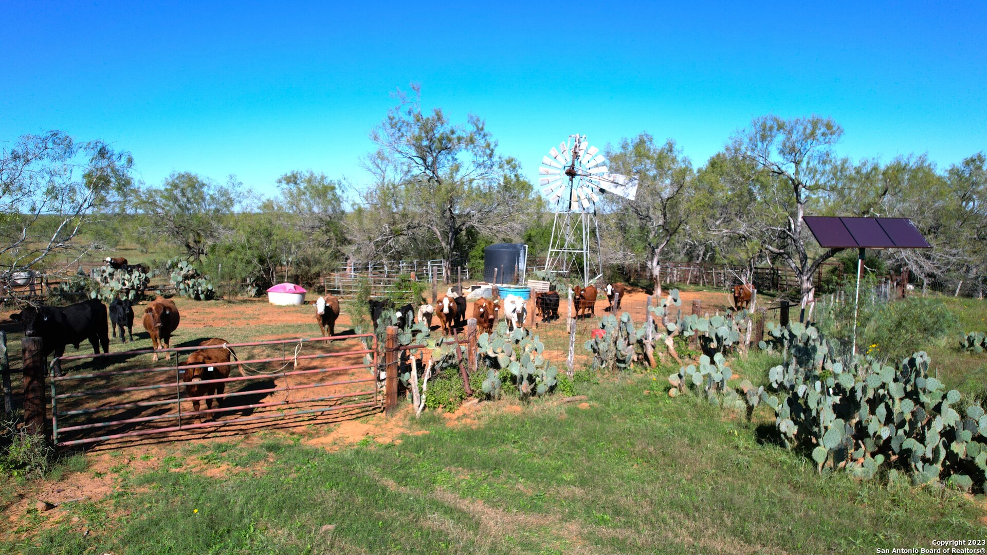 1913 County Road 3000 Pearsall TX 78061