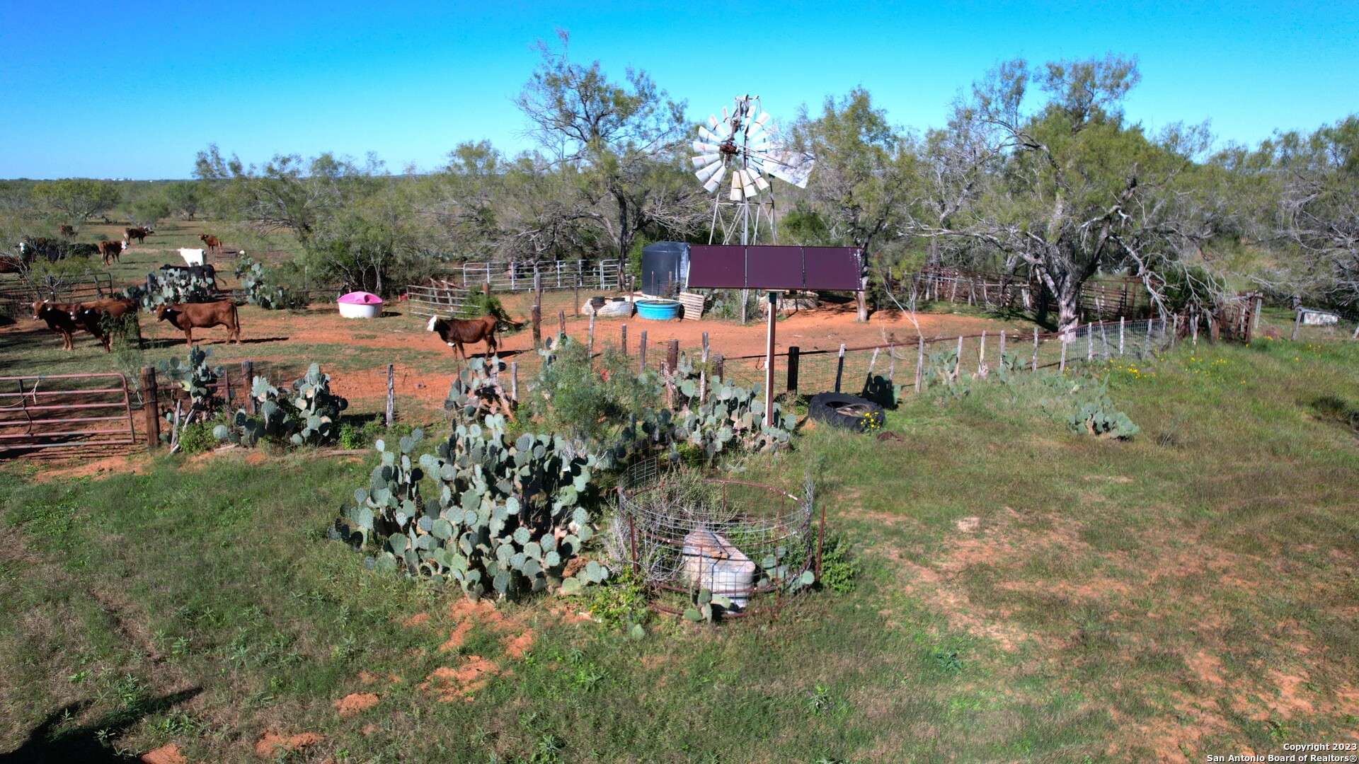 1913 County Road 3000 Pearsall TX 78061