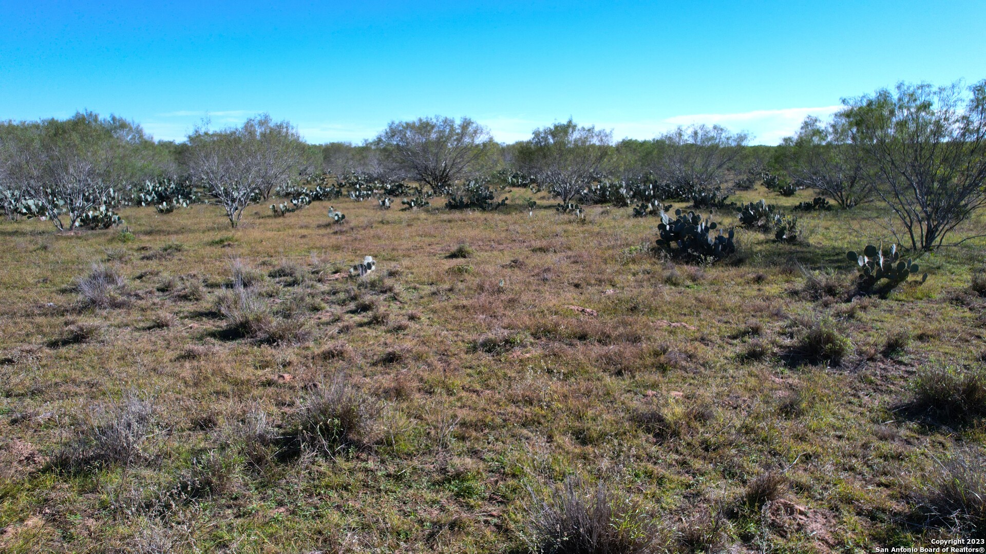 1913 County Road 3000 Pearsall TX 78061